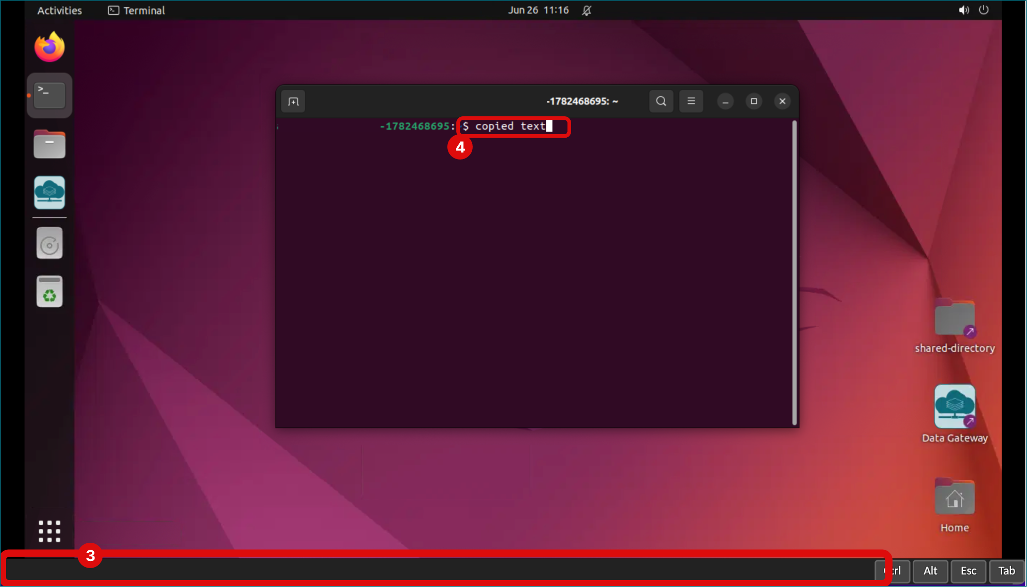 Use Clipboardß